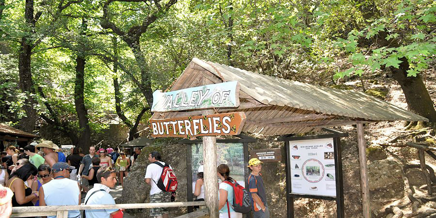 Butterfly Valley